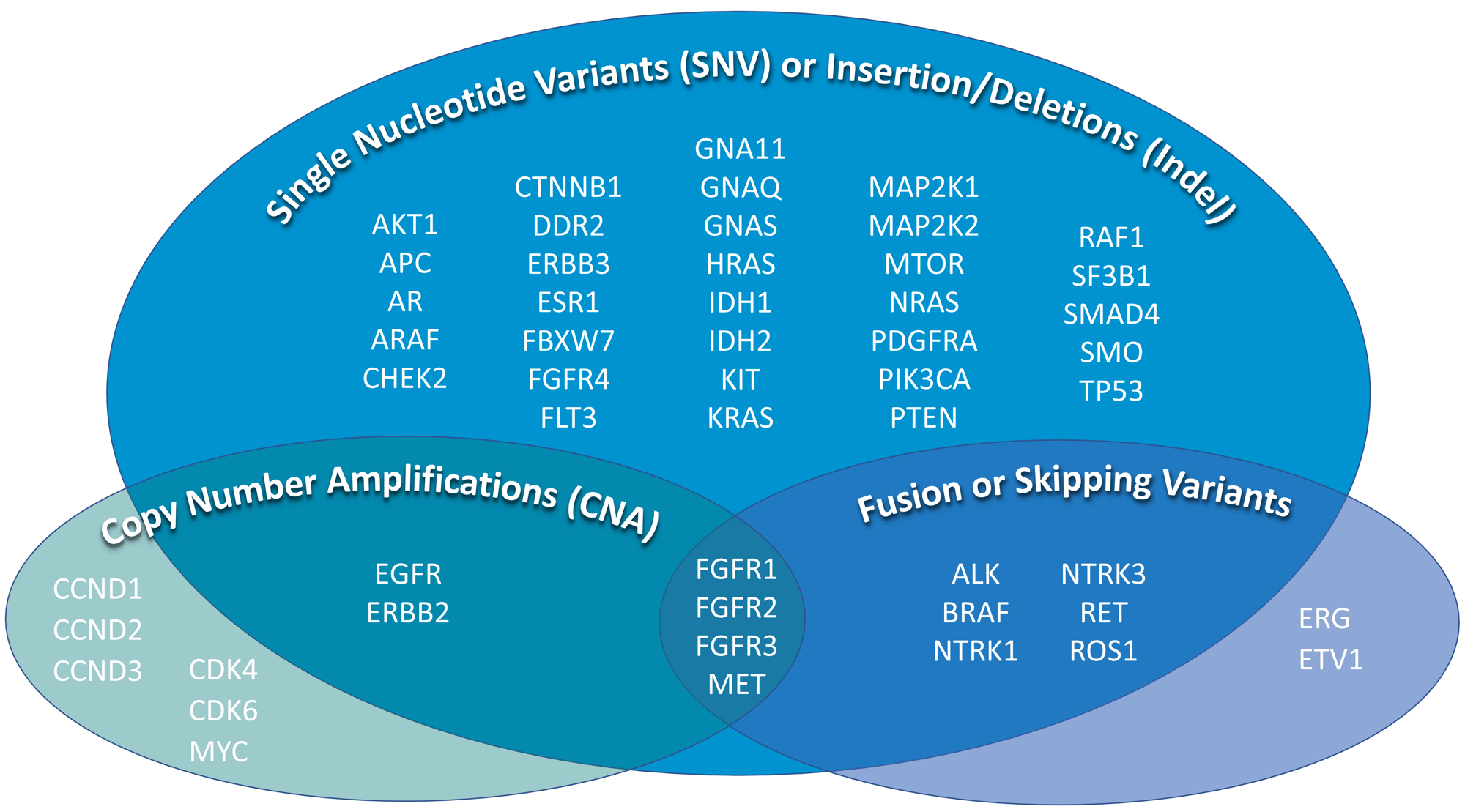 SNVs Indels Venn Diagram_FOR BD WEBSITE-1